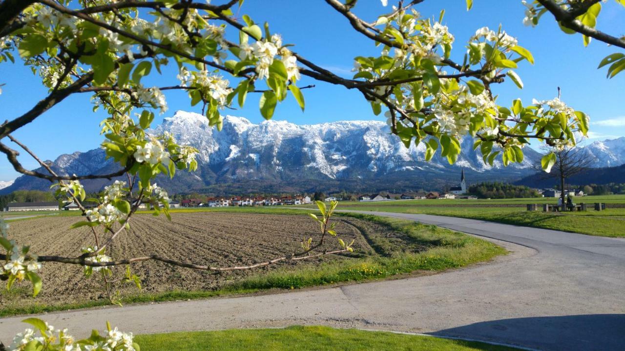 Appartamento Vor Den Toren Salzburgs Wals-Siezenheim Esterno foto